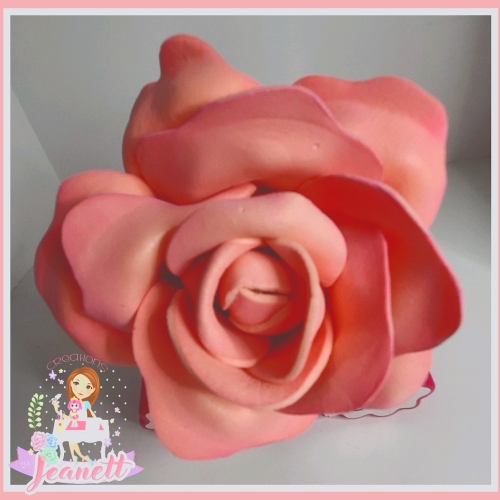 ROSE PEN IN FOAM